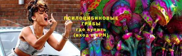 ПСИЛОЦИБИНОВЫЕ ГРИБЫ Алексин