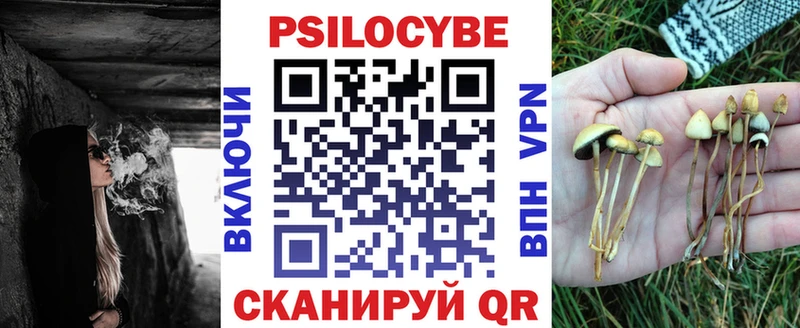 наркошоп Богородицк Галлюциногенные грибы прущие грибы