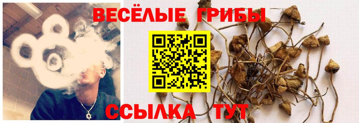 Псилоцибиновые грибы Magic Shrooms Богородицк