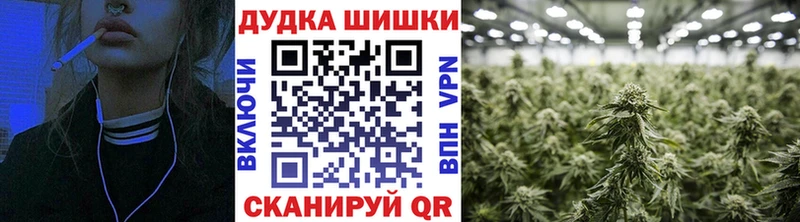 Конопля индика  Богородицк 